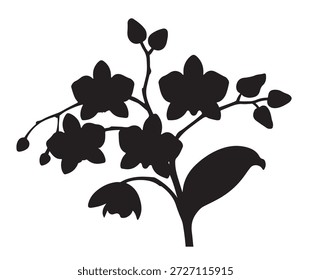 preto e branco silhueta vetor conjunto de orquídeas no fundo branco