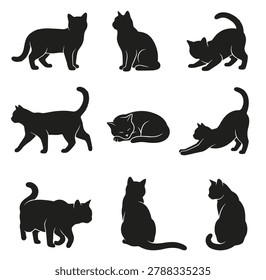 Black and white silhouette vector set of American Wirehair cat