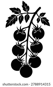 black and white silhouette vector set of tame cherry tomatoes