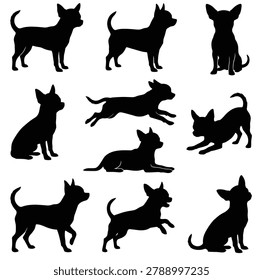 Black and white silhouette vector set of Apple Head Chihuahua