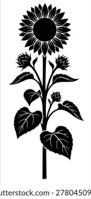 black and white silhouette vector of a sunflower