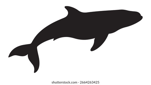 black and white silhouette vector of whale fish