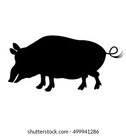 Black White Silhouette Wild Boar Pigs Stock Vector (Royalty Free ...