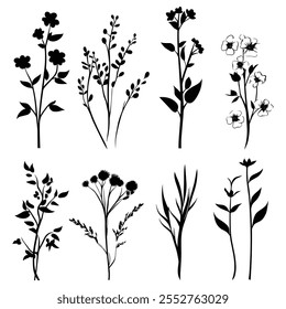 A black and white Silhouettes of blooming flowers set with white background
