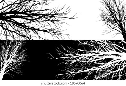 Schwarz-Weiß-Silhouetten von Ästen von Bäumen