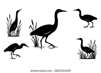 Black and white silhouettes of different wading birds standing in nature