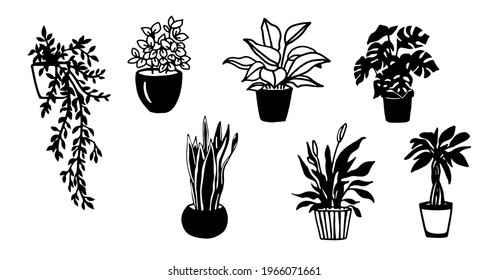 Black and white silhouettes of house plants in pot. Vector doodles illustrations of plant monstera and various others.