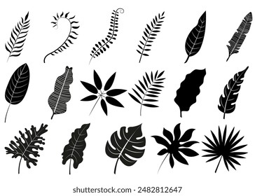 Schwarz-weiße Silhouetten von Blättern. Elemente für Design und Dekoration. Vektorillustration. Einfach zu bedienen. Einfaches Design