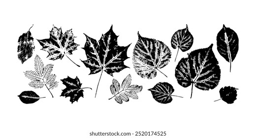 Black and white silhouettes of various leaves on a white background. Botanical concept emphasizing nature and simplicity