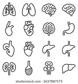 Black and white simple icon set representing human internal organ systems for education