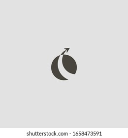 black and white simple vector abstract flat art iconic sign of airplane flying around the planet