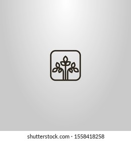 black and white simple vector line art sign of three branches of a plant with leaves in a square frame