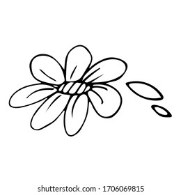Schwarz-Weiß-Einblütenblattskizze. Handgezeichnete einzelne Illustration auf weißem Hintergrund. Einzelblume für Kinderbuch, Farbseite, Design, Feiertag- und Geburtstagskarte.