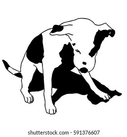 Black and white sitting dog. Smart and darling animal. Outlined cute dog. Flatten isolated master vector illustration.