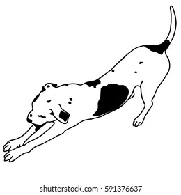 Black and white sitting dog. Smart and darling animal. Outlined cute dog. Flatten isolated master vector illustration.