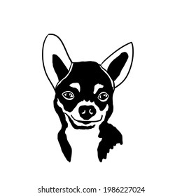 Black and white skating of a smiling Chihuahua.Isolated vector illustration on a white background.