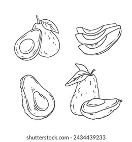 Black and white sketch of avocado isolated on white. Doodle. Half an avocado for label, poster, print, menu. Vector illustration