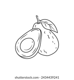 Black and white sketch of avocado isolated on white. Doodle. Half an avocado for label, poster, print, menu. Vector illustration