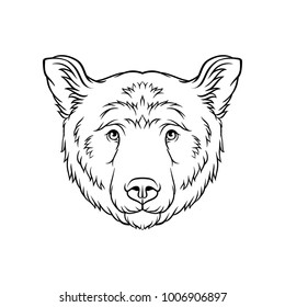Black and white sketch of bears head, face of wild animal hand drawn vector Illustration