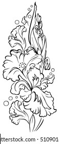 Black and white sketch of beautiful iris flower. Drawing made on computer by graphic tablet. Vector  image.