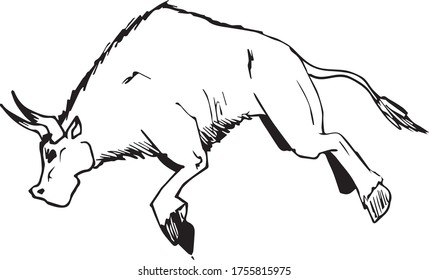 Black and white sketch of bull.