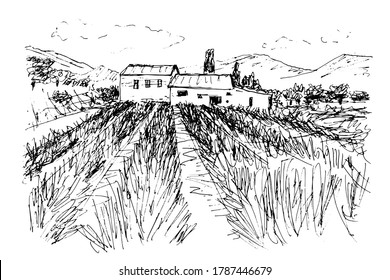 Black and white sketch by pen on a white background. Hilly landscape in Provence. Lavender field, farmhouses among cypresses and olives. Isolated vector drawing.