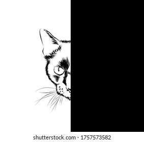 black and white sketch cat silhouette