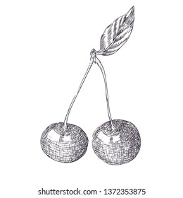 black and white sketch of a cherry, ink drawn, vector