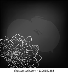 Black and white sketch of a chrysanthemum flower. Decorative floral element. 