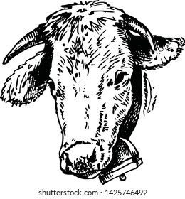 Black White Sketch Cows Face Vector Stock Vector (Royalty Free ...