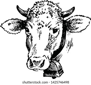 Black and white sketch of a cow's face. Vector portrait. cow with a bell