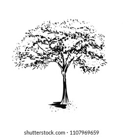 Black and white sketch of a detached deciduous tree