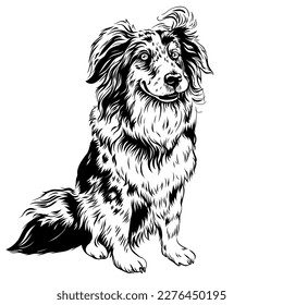 Black and white sketch of dog Red Australian Shepherd breed, Aussie or little blue dog