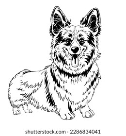 Black and white sketch of dog Welsh Corgi breed staying and smiling