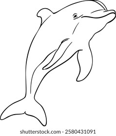 Black and white sketch of dolphin. Vector illustration.