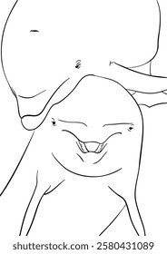 Black and white sketch of dolphins. Vector illustration.