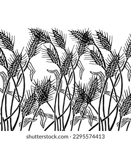 Black and white sketch of ears of wheat on a white background. Hand drawn field isolated on white background.