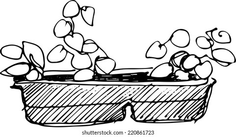 black and white sketch flower room in a flowerpot 