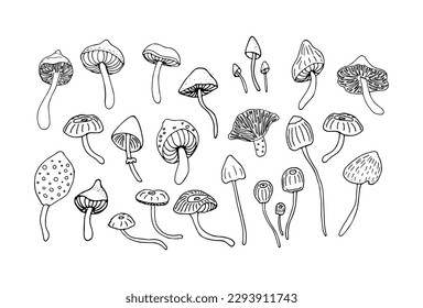 Black and white sketch of forest mushrooms. Set of cartoon or doodle style forest mushrooms. Vector illustration.