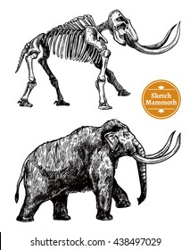 Black and white sketch hand drawn mammoth and its skeleton on white background isolated vector illustration