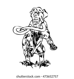 Black and white sketch hand drawn mammoth on white background isolated vector illustration