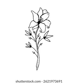Black and white sketch, hand-drawn vector art of a single flower with a stem.
