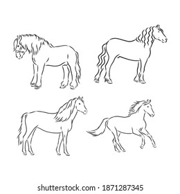 Black and white sketch of horse. horse vector sketch illustration
