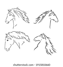 Black and white sketch of horse. horse, vector sketch illustration