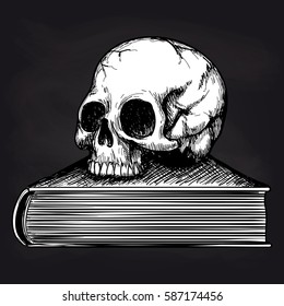 Black and white sketch of human skull on book on blackboard background. Vector illustration