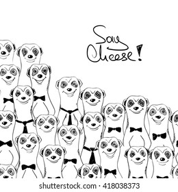 Black and white sketch illustration of funny smiling meerkats. Meerkats posing on camera.