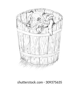 black and white sketch illustration of a pig in wooden bucket