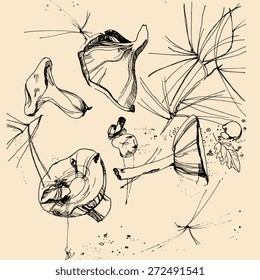 Black and white of sketch mushrooms.  Vector. Background