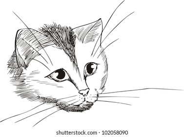 Black and white sketch of a nice cat head. Vinyl-ready EPS Illustration, black and white sketch.