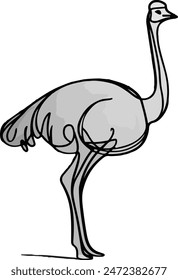 A black and white sketch of an ostrich in profile facing to the right. The ostrich has a long neck and legs, and a feathered body with a plume tail.